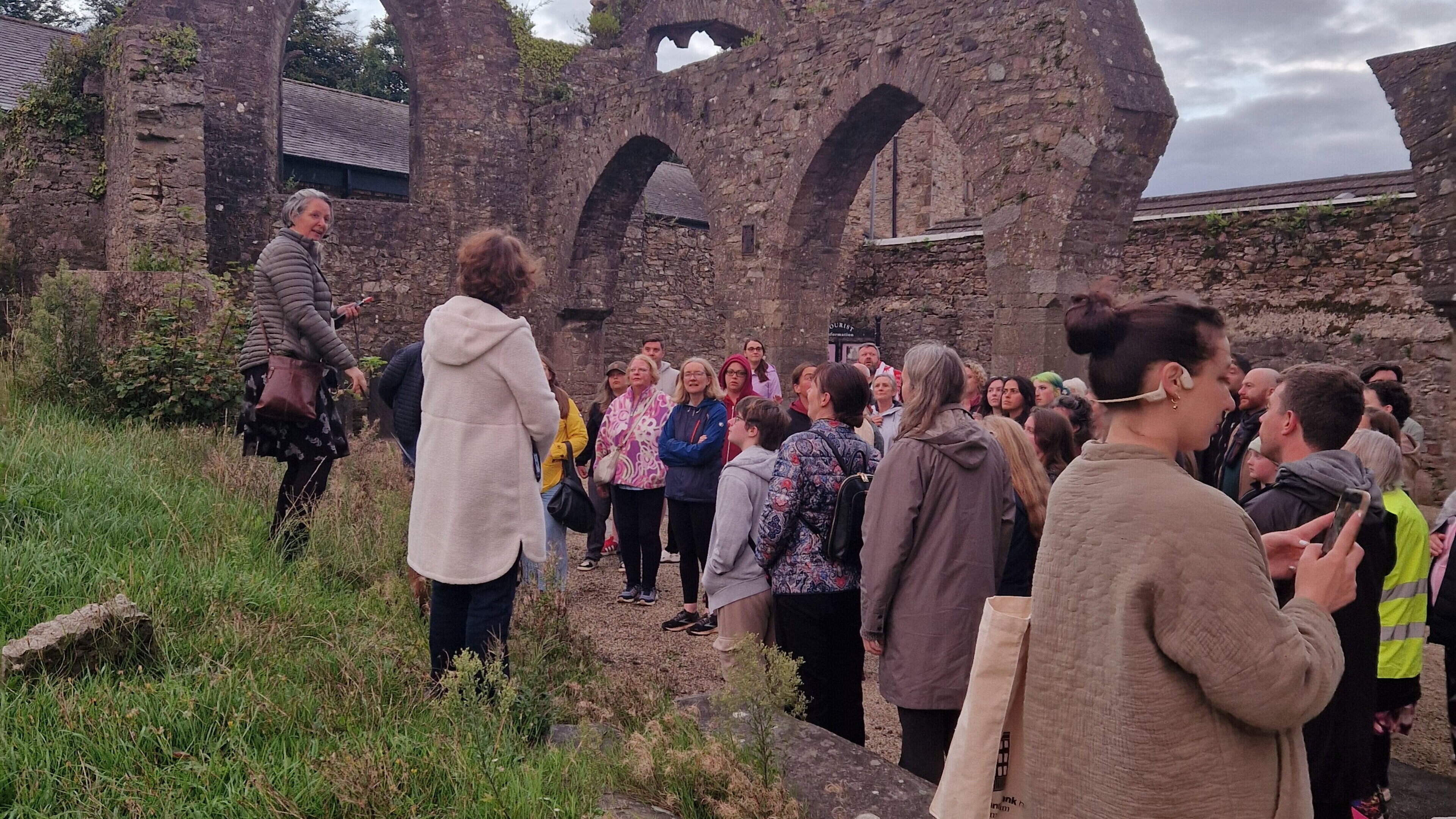 Bats come out to play at Selskar Abbey as huge crowd takes a special walk around Wexford